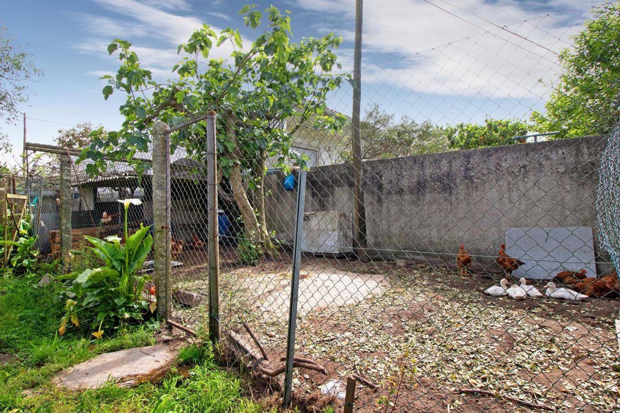 Apartamento Bali Com Piscina Apúlia Exterior foto